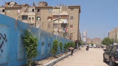 البيئة تنتهي من تنفيذ مبادرة تشجير شبرا الخيمة