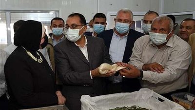 رئيس الوزراء يتفقد مشروع واحة الحرير ومجمع الصوب الزراعية