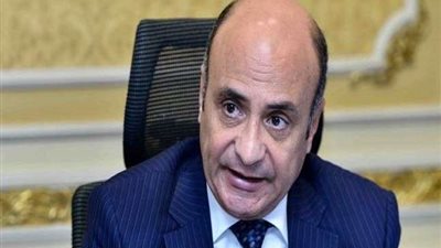 عمر مروان: عرض ملف مصر لحقوق الإنسان حاز على إشادة من 80% من الدول