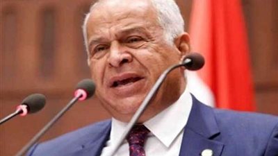 برلماني: مطالب سيدات مصر في الأحوال الشخصية 