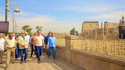 العناني: نقدم كل الإمكانات لإقامة احتفالية كبرى بالأقصر