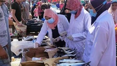 بيطري الشرقية: ضبط 54 كجم لحوم و 100كجم أسماك مخالفة لمراكز المدن