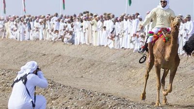 أحمد الكعبي يدرس تأسيس صحيفة رقمية لصور الخيل العربي