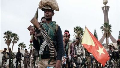 محاضر يحمل الحكومة الإثيوبية مسئولية تدهور الاوضاع في البلاد