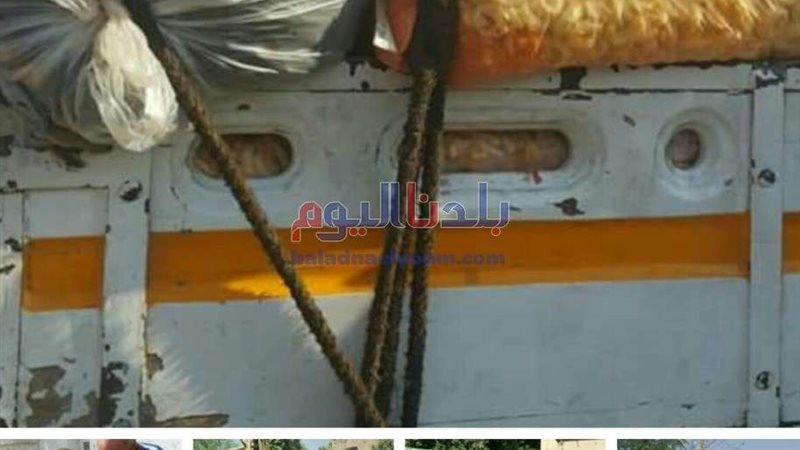 بلدنا اليوم