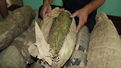 ضبط عاطل وبحوزته كميات كبيرة من المواد مخدرة في المنوفية