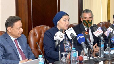 السنباطي: نعيش عصر ذهبي للرقي بالأطفال برعاية الرئيس السيسي