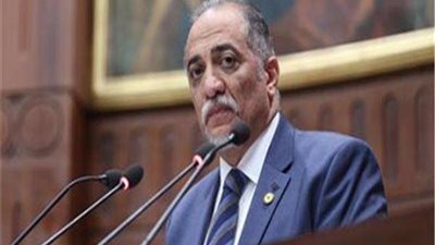 رئيس لجنة التضامن: مصر أخرست المنظمات المشبوهة.. والملف الحقوقي يحظى باهتمام الإرادة السياسية