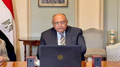 شكري يترأس جلسة مجلس السلم والأمن الأفريقي