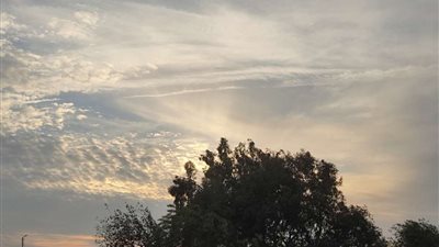 الأرصاد تحذر من شبورة كثيفة وأمطار رعدية لمدة أسبوع