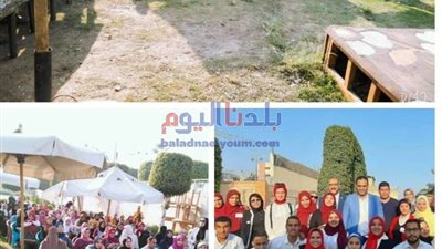 الشباب المصري ينظم 