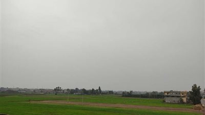 زيادة شدة الأمطار الرعدية على الإسكندرية.. الأرصاد تكشف تفاصيل طقس الغد