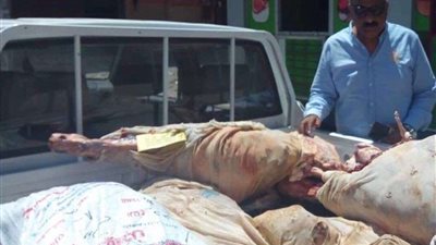 مباحث التموين تغلق 9 منشآت بدون ترخيص في حملة مكبرة بالجيزة