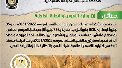 شراء محصول القمح من المزارعين بأسعار منخفضة.. الحكومة توضح الحقائق