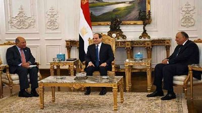 فيديو.. تفاصيل لقاء الرئيس السيسي برئيسي البنك الأوروبى وشركة سيمنز