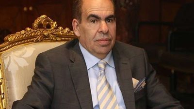 ياسر الهضيبي: قلة الدعم المالي والصراعات وراء تدهور الأداء الحزبي