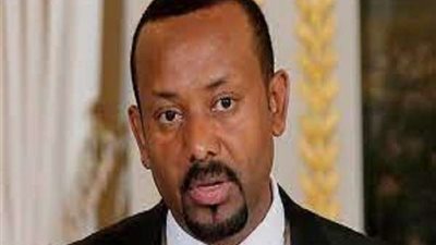 المفوضة السامية لحقوق الإنسان تعبر عن قلقها البالغ من استمرار الاعتقالات في أديس أبابا