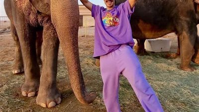 فيصل الغزاوي: مبادرة إدعم سياحة بلدك مرآة مصر إلى العالم