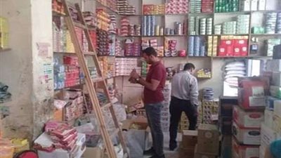 الصحة: ضبط وإعدام 3071 طن أغذية متنوعة بمحافظات الجمهورية