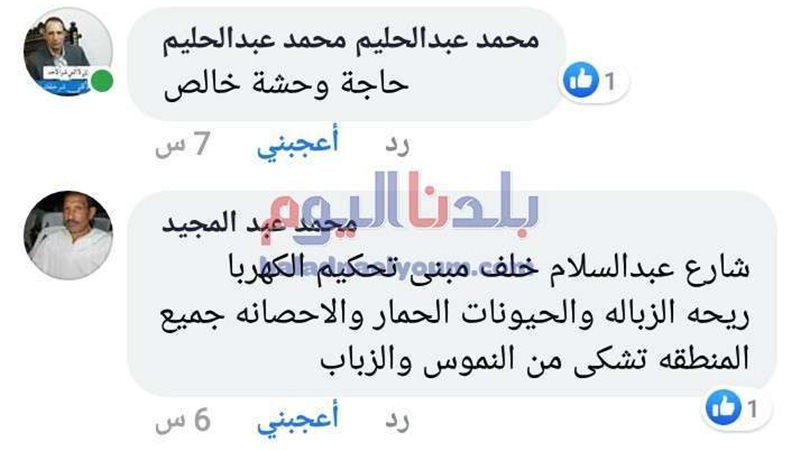 بلدنا اليوم