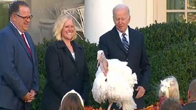 قرار ساخر من الرئيس الأمريكي والسر في الديوك الرومي.. تفاصيل