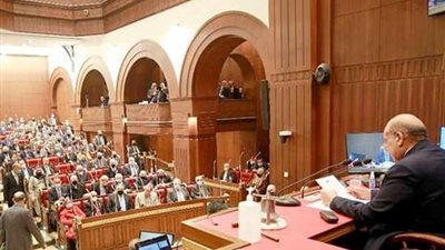 مجلس الشيوخ يوافق من حيث المبدأ على مشروع قانون حقوق المسنين