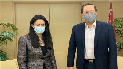 رانيا المشاط تلتقي وزير الصناعة بسنغافورة لبحث سبل التعاون المشترك