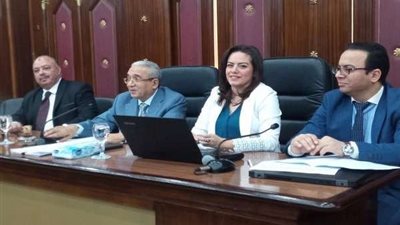 سيلفيا نبيل: العام الحالي يشهد بداية المرحلة الثانية من تطبيق موازنة البرامج والأداء