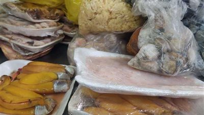 حملة تموينية تضبط 32 طن من الأسماك واللحوم مجهولة المصدر بالقليوبية
