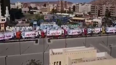 تنفيذا لـ توجيهات الرئيس السيسي.. مستقبل وطن يدفع بقافلة مساعدات لـ أسوان (فيديو)