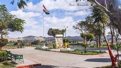 السيرة الذاتية للدكتور محمد محمود أبو زيد نائب محافظ المنيا الجديد