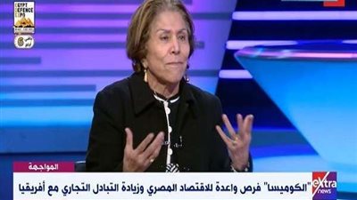 الشوباشي: قمة الكوميسا تمثل الامل للقارة الافريقية