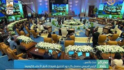 نائب:  استضافة مصر قمة 
