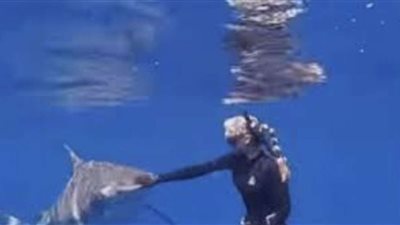 وضعة يدها على فمها.. فتاة تتجنب سمكة قرش.. فيديو