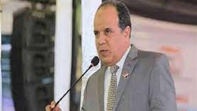 احمد مهنى: تولي مصر الكوميسا يؤكد استعادة مصر لمكانتها ودورها الاقليمي