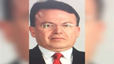 المستشار شادي شلبي: حاولت كسر القاعدة.. ولا بد من تطبيق القضاء الإلكتروني