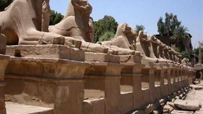 العالم يترقب.. العد التنازلي يبدأ لافتتاح طريق الكباش أقدم ممر في التاريخ