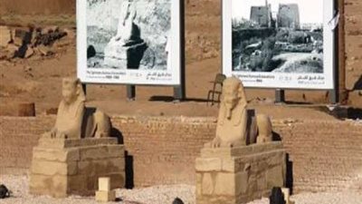 مدير متاحف الاقصر: احتفال طريق الكباش يعد تجريبياً وحضارياً