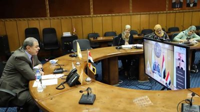 سعفان يبحث مع ممثلي البنك الدولي توفير الحماية للعمالة غير المنتظمة