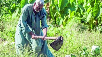 اجتماعاً تنسيقياً لمناقشة الإجراءات المنظمة لإنتخابات مجالس إدارة الجمعيات التعاونية الزراعية بالمنوفية