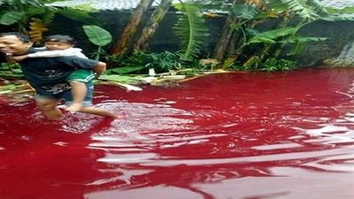 فيضان من الدماء تقتحم منزل ويتسبب في هروب السكان 