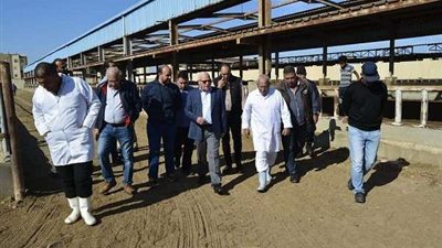محافظ بورسعيد يتفقد محطة تسمين الماشية بجنوب بورسعيد