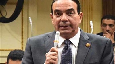 النائب أيمن أبو العلا يطالب بحصر رسمي ودقيق للمصريين بالخارج