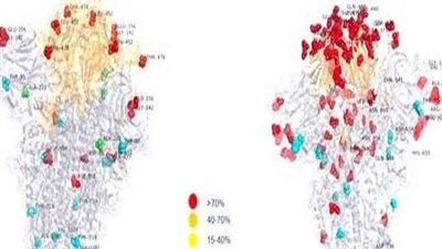 شاهد.. أول صورة لمتحور كورونا الجديد 