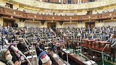 مجلس النواب يشهد حالة من الجدل بشأن الضبطية القضائية للنقابة