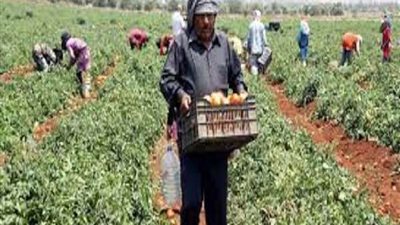 أستاذ تخطيط يكشف عن الفئة الأشد فقرا بسبب التغيرات المناخية