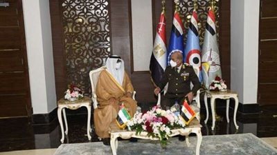 وزير الدفاع يلتقي وزير الدولة الإماراتي لشئون الدفاع