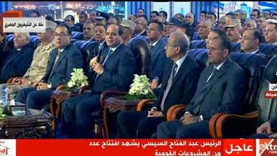 السيسي: 