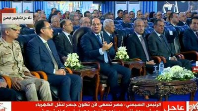 السيسي: لكل مواطن ومسئول.. ما دليل حبك لمصر؟