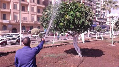 رفع 605 أطنان قمامة بحي شرق المنصورة